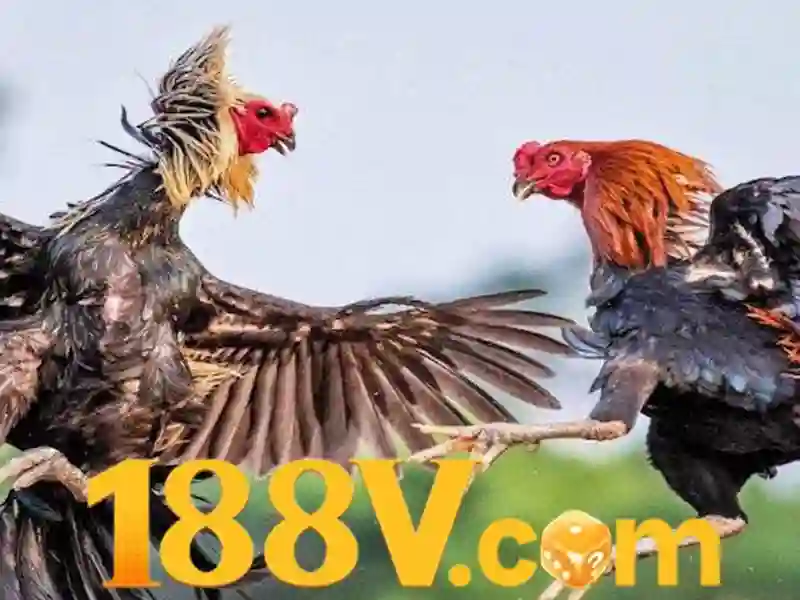  rút tiền 188v - 188V - mandmautomotive.net